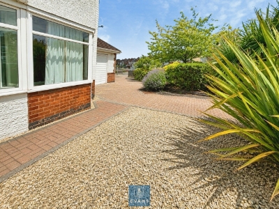 Picture 20